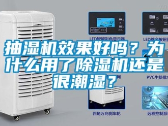 常見問題抽濕機效果好嗎？為什么用了除濕機還是很潮濕？