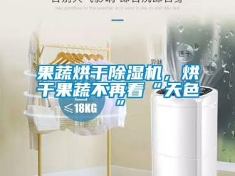 行業(yè)新聞果蔬烘干除濕機(jī)，烘干果蔬不再看“天色”