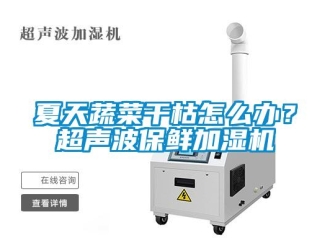 常見問題夏天蔬菜干枯怎么辦？超聲波保鮮加濕機