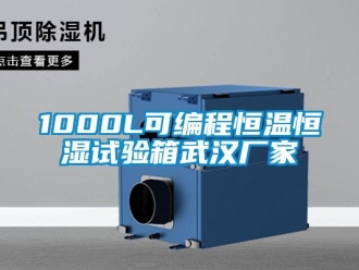 常見問(wèn)題1000L可編程恒溫恒濕試驗(yàn)箱武漢廠家
