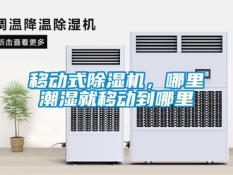 知識(shí)百科移動(dòng)式除濕機(jī)，哪里潮濕就移動(dòng)到哪里