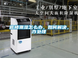 常見問題底樓潮濕怎么辦，如何解決，咋處理