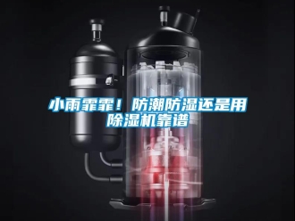 知識(shí)百科小雨霏霏！防潮防濕還是用除濕機(jī)靠譜