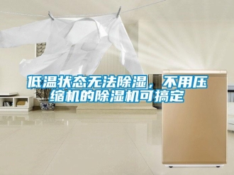 行業(yè)新聞低溫狀態(tài)無(wú)法除濕，不用壓縮機(jī)的除濕機(jī)可搞定