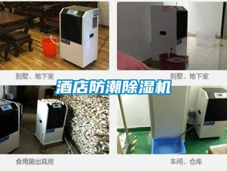 行業(yè)新聞酒店防潮除濕機(jī)