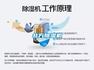 常見問題北方除濕機(jī)