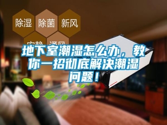 常見問題地下室潮濕怎么辦，教你一招徹底解決潮濕問題！