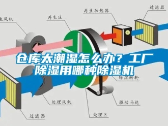 企業(yè)新聞倉庫太潮濕怎么辦？工廠除濕用哪種除濕機