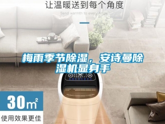 企業(yè)新聞梅雨季節(jié)除濕，安詩曼除濕機顯身手
