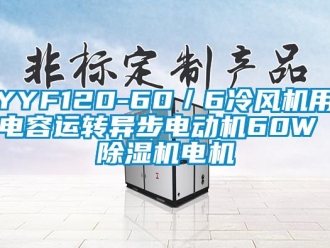企業(yè)新聞YYF120-60／6冷風(fēng)機(jī)用電容運(yùn)轉(zhuǎn)異步電動(dòng)機(jī)60W 除濕機(jī)電機(jī)