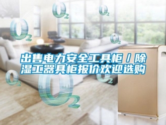 企業(yè)新聞出售電力安全工具柜／除濕工器具柜報價歡迎選購