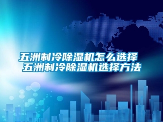 行業(yè)新聞五洲制冷除濕機(jī)怎么選擇 五洲制冷除濕機(jī)選擇方法
