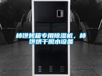 知識百科柿餅烤箱專用除濕機(jī)，柿餅烘干脫水設(shè)備