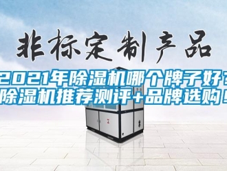 企業(yè)新聞2021年除濕機哪個牌子好？除濕機推薦測評+品牌選購！