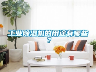 企業(yè)新聞工業(yè)除濕機(jī)的用途有哪些？