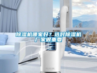 常見問題除濕機哪家好？選對除濕機廠家很重要