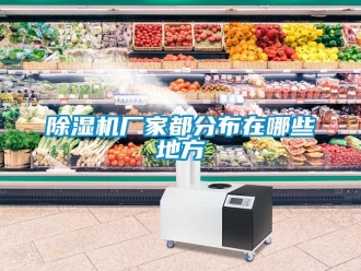 企業(yè)新聞除濕機(jī)廠家都分布在哪些地方