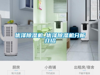 行業(yè)新聞優(yōu)澤除濕機(jī)_優(yōu)澤除濕機(jī)分析介紹