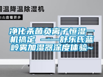 知識(shí)百科凈化殺菌負(fù)離子恒濕一機(jī)搞定 ——舒樂氏藍(lán)嶺霧加濕器深度體驗(yàn)~