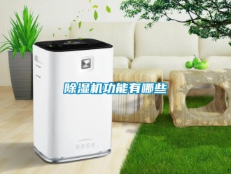 常見問題除濕機功能有哪些