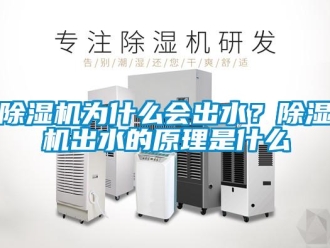 企業(yè)新聞除濕機為什么會出水？除濕機出水的原理是什么