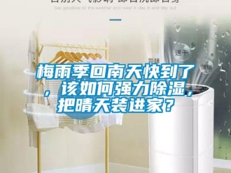 常見問題梅雨季回南天快到了，該如何強力除濕，把晴天裝進家？