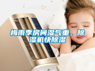 行業(yè)新聞梅雨季房間濕氣重，除濕機(jī)快除濕
