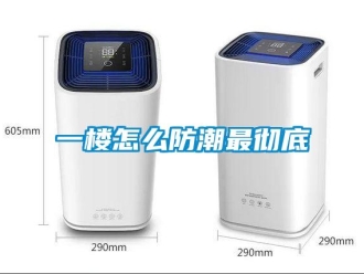 常見問題一樓怎么防潮最徹底