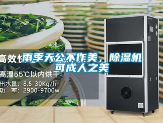 知識(shí)百科雨季天公不作美，除濕機(jī)可成人之美