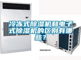 行業(yè)新聞冷凍式除濕機和電子式除濕機的區(qū)別有哪些？
