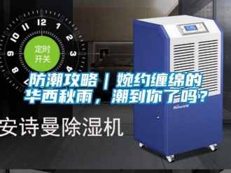 常見問題防潮攻略｜婉約纏綿的華西秋雨，潮到你了嗎？