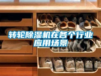 知識百科轉輪除濕機在各個行業(yè)應用場景
