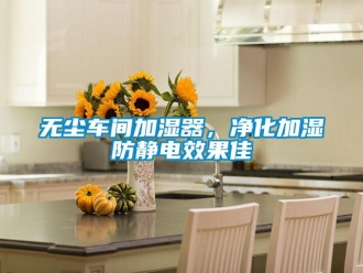 知識(shí)百科無(wú)塵車(chē)間加濕器，凈化加濕防靜電效果佳