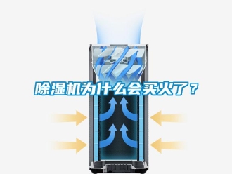 企業(yè)新聞除濕機為什么會買火了？