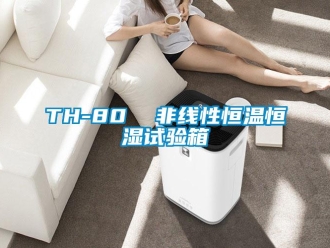 常見(jiàn)問(wèn)題TH-80  非線(xiàn)性恒溫恒濕試驗(yàn)箱