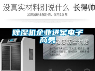 常見問題除濕機企業(yè)進軍電子商務(wù)
