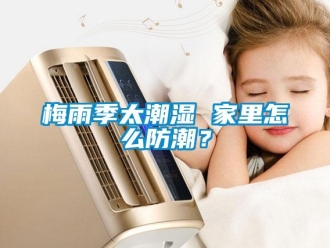 常見問題梅雨季太潮濕 家里怎么防潮？