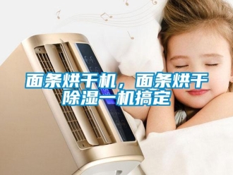 行業(yè)新聞面條烘干機(jī)，面條烘干除濕一機(jī)搞定