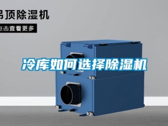 行業(yè)新聞冷庫如何選擇除濕機