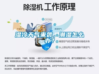 常見問題濕冷天氣來襲，潮濕怎么辦？