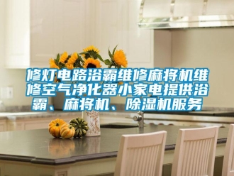 行業(yè)新聞修燈電路浴霸維修麻將機(jī)維修空氣凈化器小家電提供浴霸、麻將機(jī)、除濕機(jī)服務(wù)