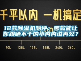 企業(yè)新聞12款除濕機(jī)測評：哪款能讓你跟曬不干的小內(nèi)內(nèi)說再見？
