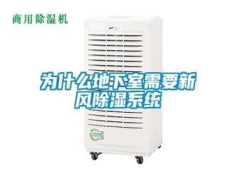 知識(shí)百科為什么地下室需要新風(fēng)除濕系統(tǒng)