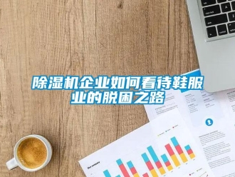 常見問題除濕機(jī)企業(yè)如何看待鞋服業(yè)的脫困之路