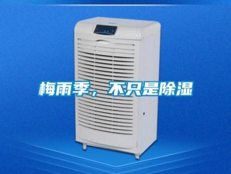 行業(yè)新聞梅雨季，不只是除濕