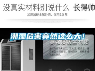 企業(yè)新聞潮濕危害竟然這么大！