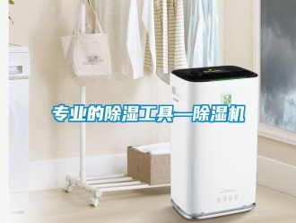 知識百科專業(yè)的除濕工具—除濕機(jī)