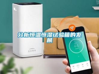 知識百科分析恒溫恒濕試驗(yàn)箱的發(fā)展