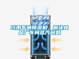 常見問(wèn)題巧用車間除濕機(jī)，解決食品廠車間蒸汽問(wèn)題