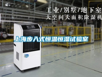 知識百科上海步入式恒溫恒濕試驗(yàn)室